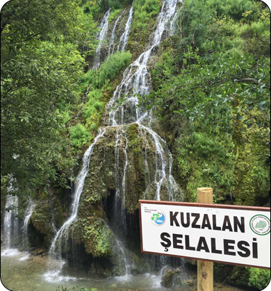 kuzulanselalasi
